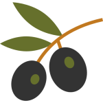 Zeytin & Kahvaltılık