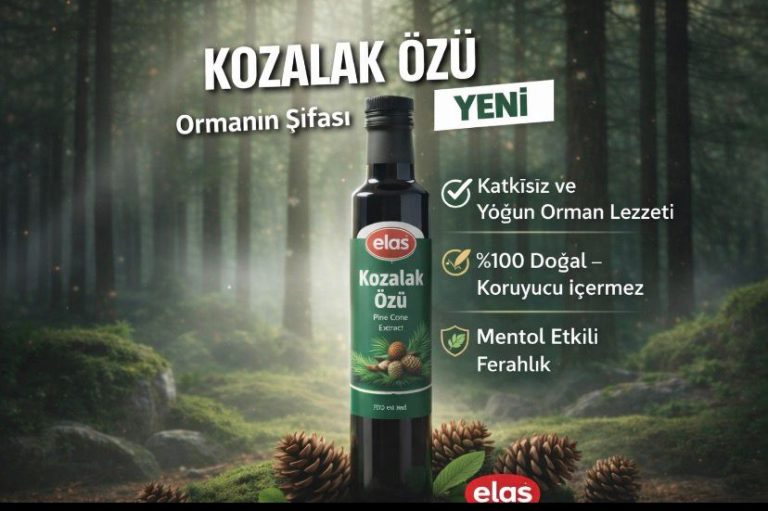 WhatsApp Image 2026 03 09 at 22.11.24